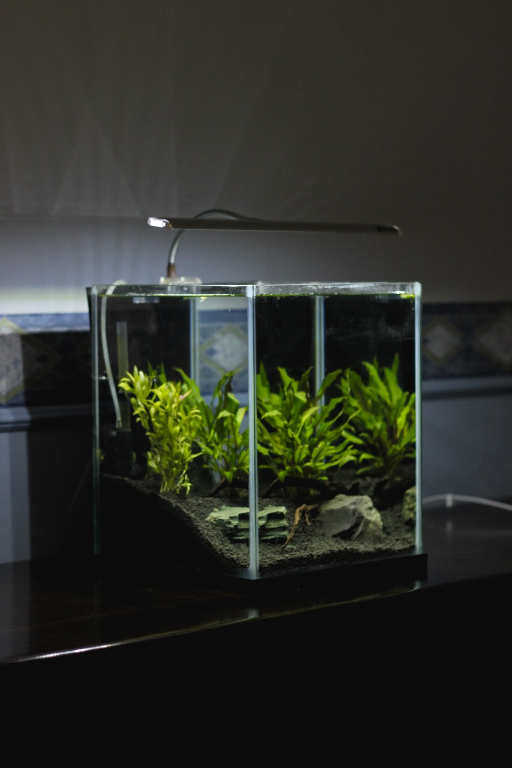 Detail Wallpaper Aquascape Hd Nomer 57