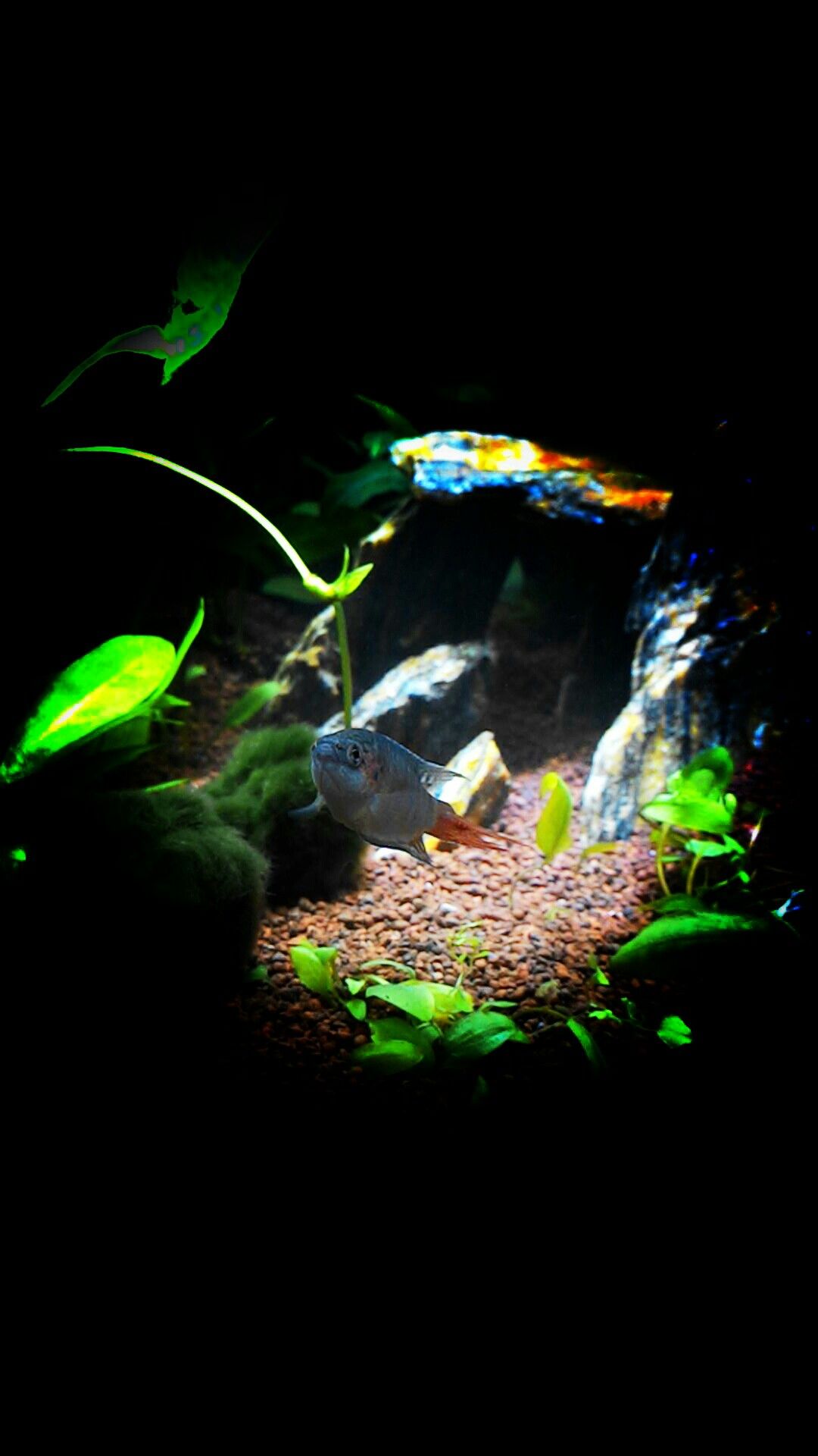 Detail Wallpaper Aquascape Hd Nomer 9
