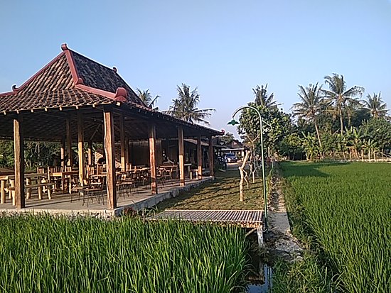 Detail Rumah Makan Omah Sawah Nomer 7