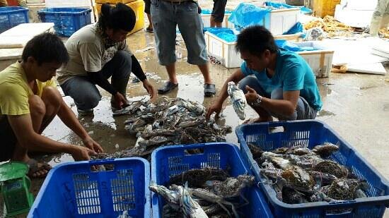 Detail Rumah Makan Seafood Di Muara Angke Nomer 42