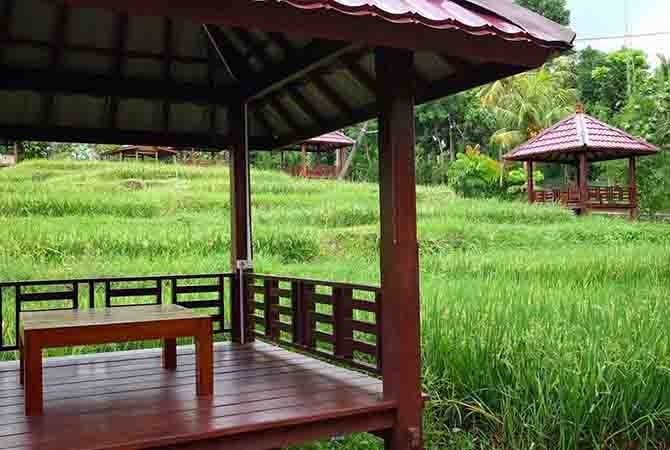 Detail Rumah Makan Tengah Sawah Nomer 16