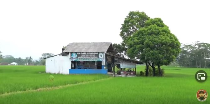 Detail Rumah Makan Tengah Sawah Nomer 20