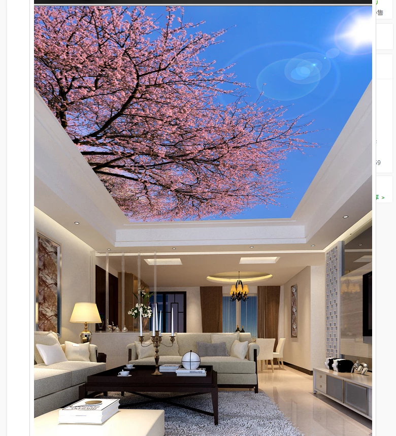 Detail Wallpaper Atap Rumah Nomer 12