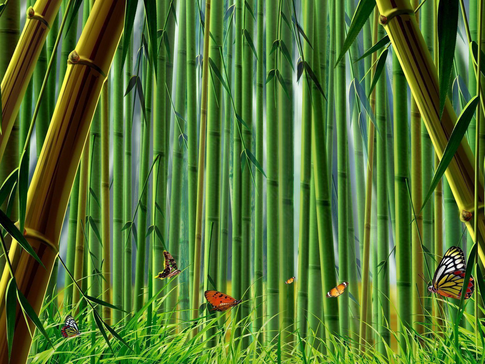 Detail Wallpaper Bamboo Hd Nomer 26