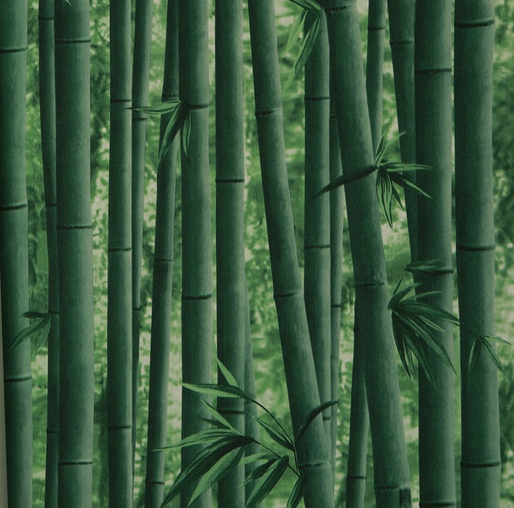 Detail Wallpaper Bambu 3d Nomer 13