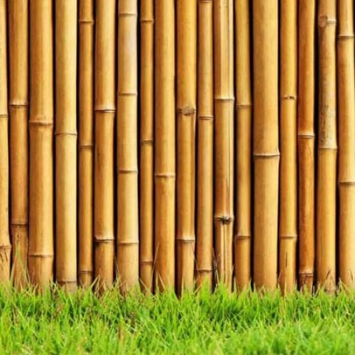 Detail Wallpaper Bambu 3d Nomer 25