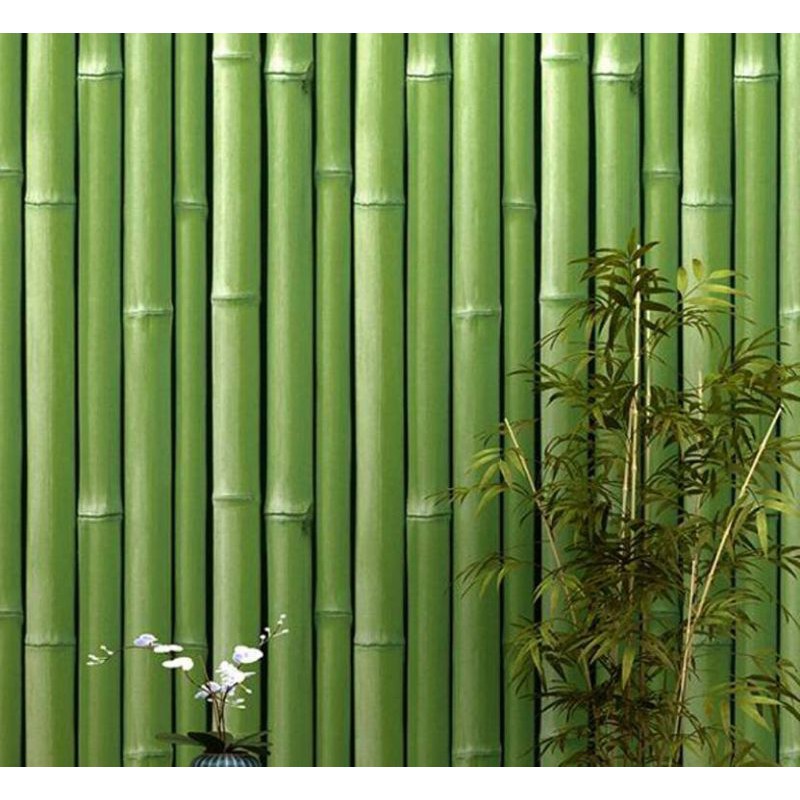 Detail Wallpaper Bambu 3d Nomer 41