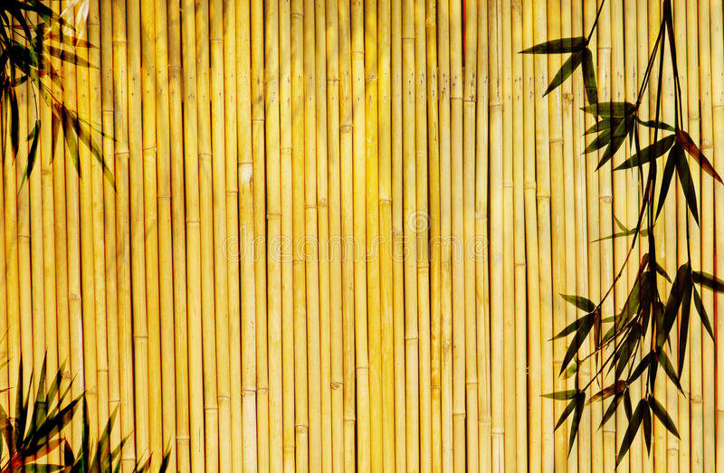 Detail Wallpaper Bambu Kuning Nomer 16