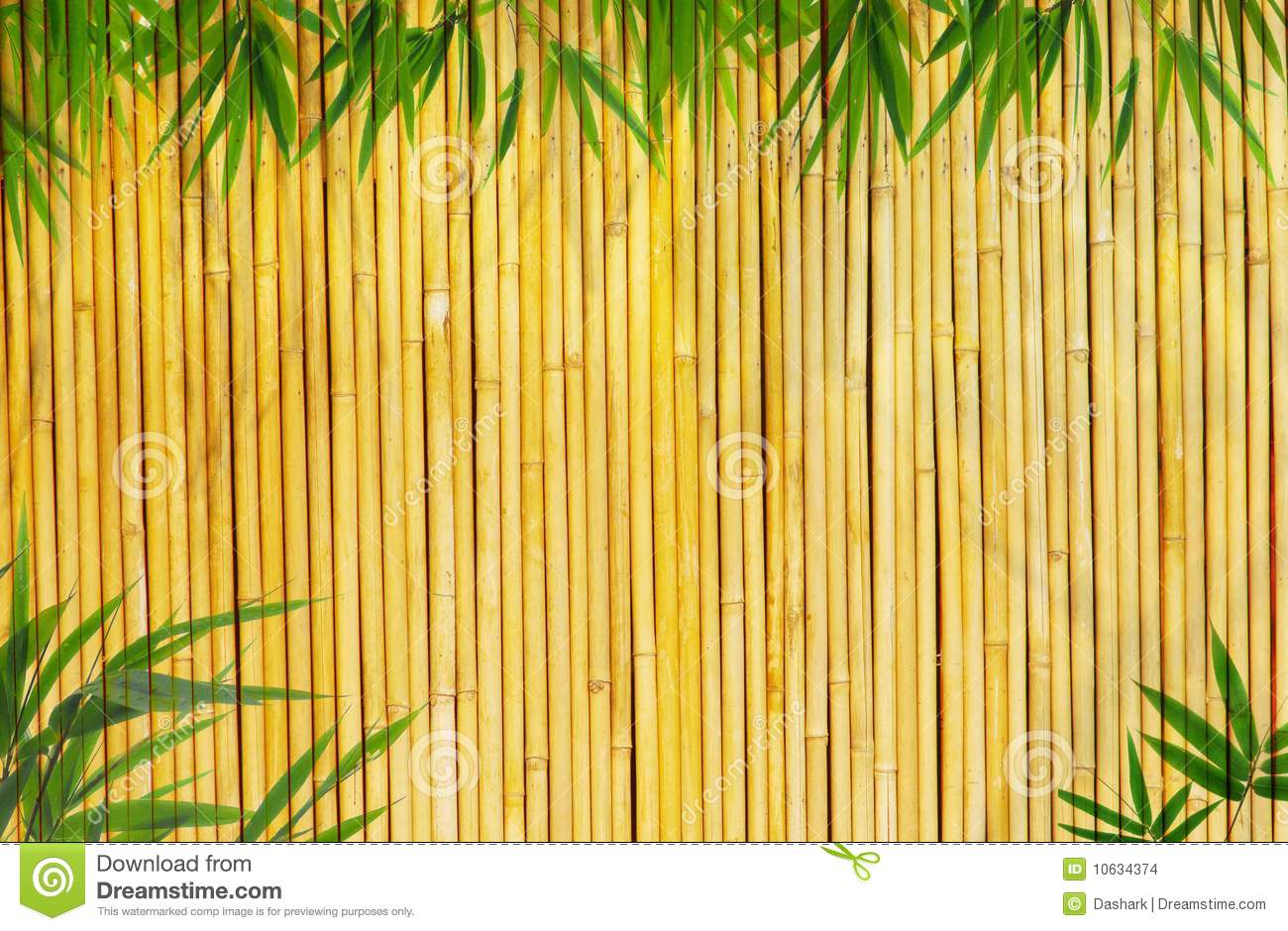 Detail Wallpaper Bambu Kuning Hd Nomer 8