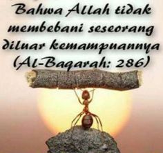 Detail Wallpaper Bbm Islami Nomer 26