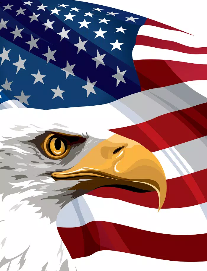 Detail Wallpaper Bendera Amerika Nomer 28