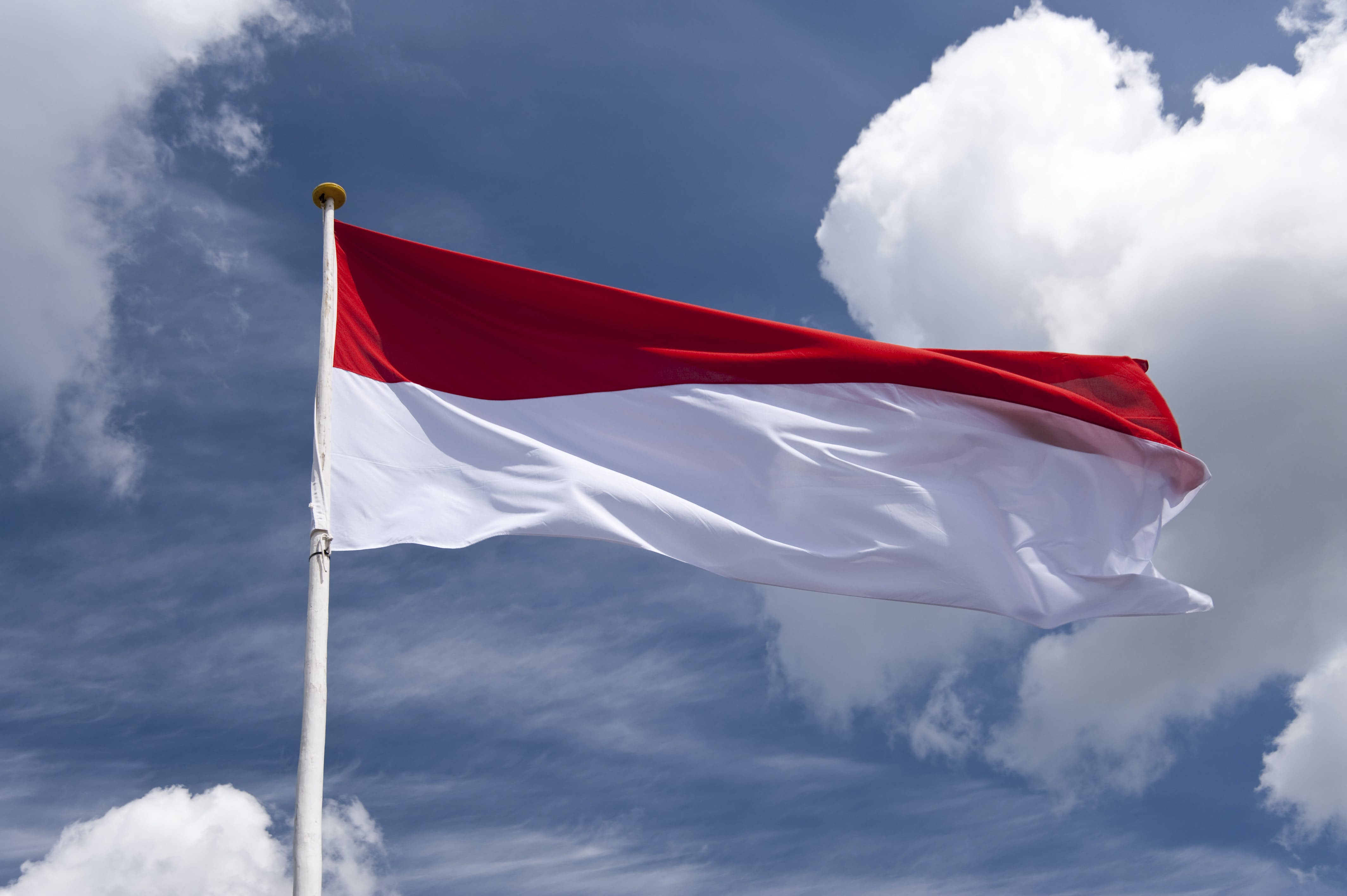 Detail Wallpaper Bendera Indonesia Bergerak Nomer 35