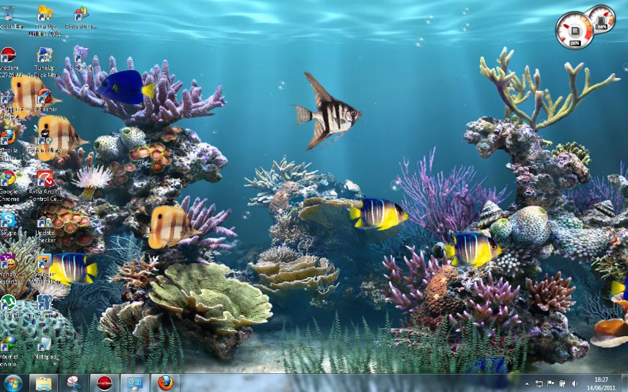 Detail Wallpaper Bergerak Aquarium Nomer 13