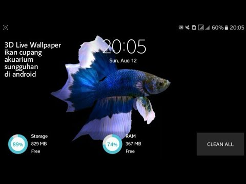 Detail Wallpaper Bergerak Ikan Nomer 47