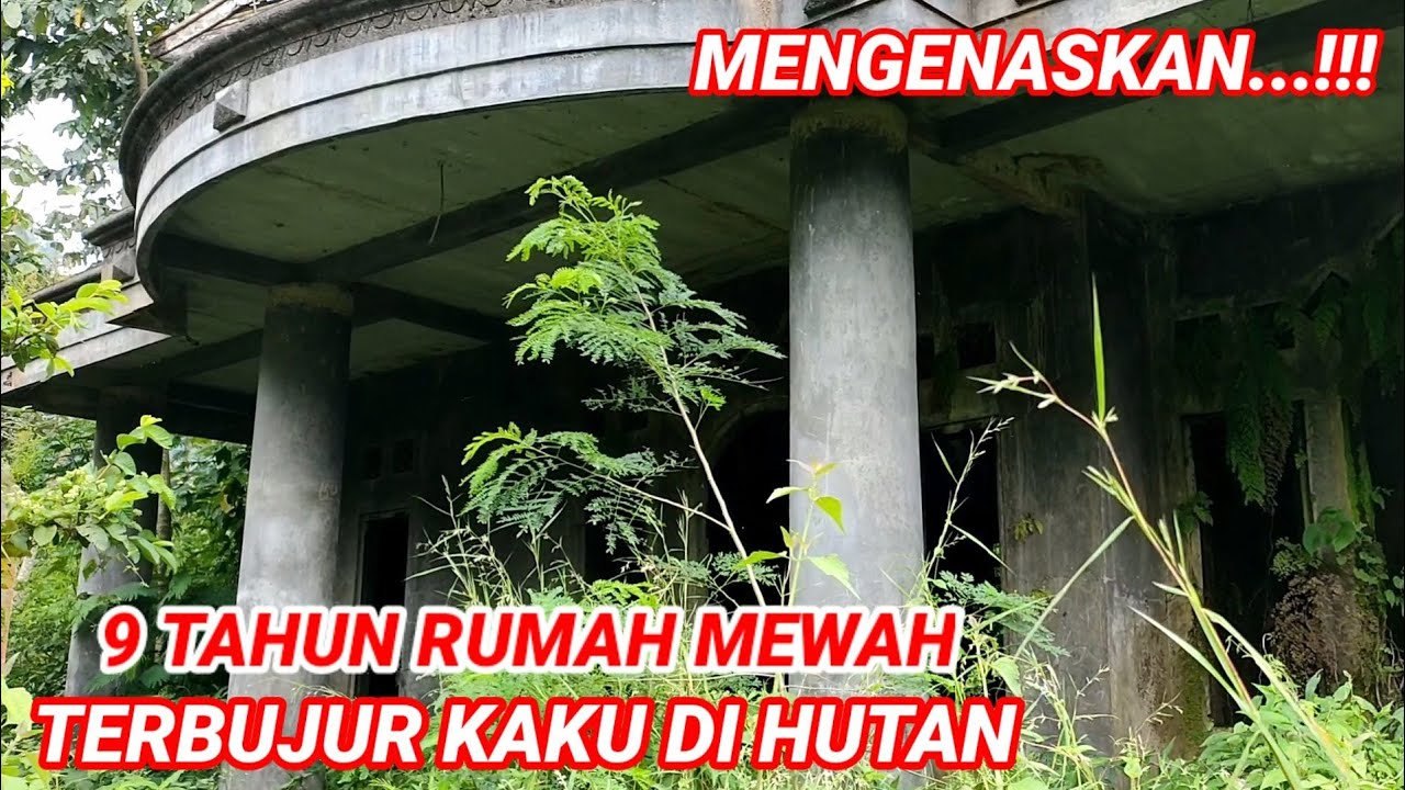 Detail Rumah Mewah Di Tengah Hutan Nomer 21