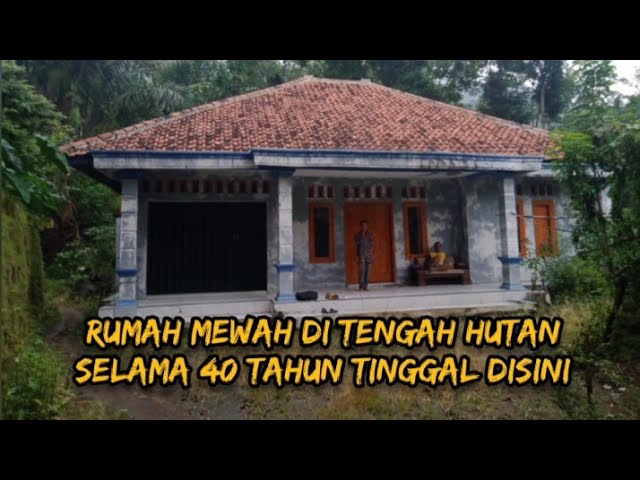 Detail Rumah Mewah Di Tengah Hutan Nomer 4