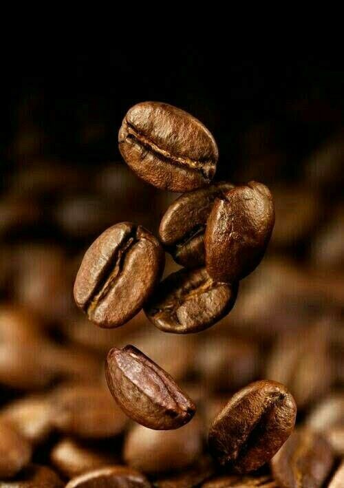 Wallpaper Biji Kopi - KibrisPDR