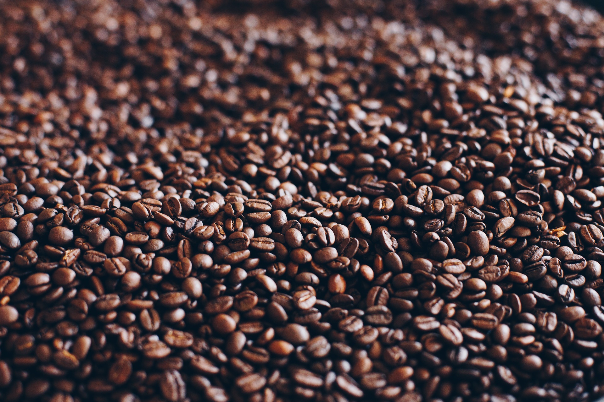 Detail Wallpaper Biji Kopi Nomer 11