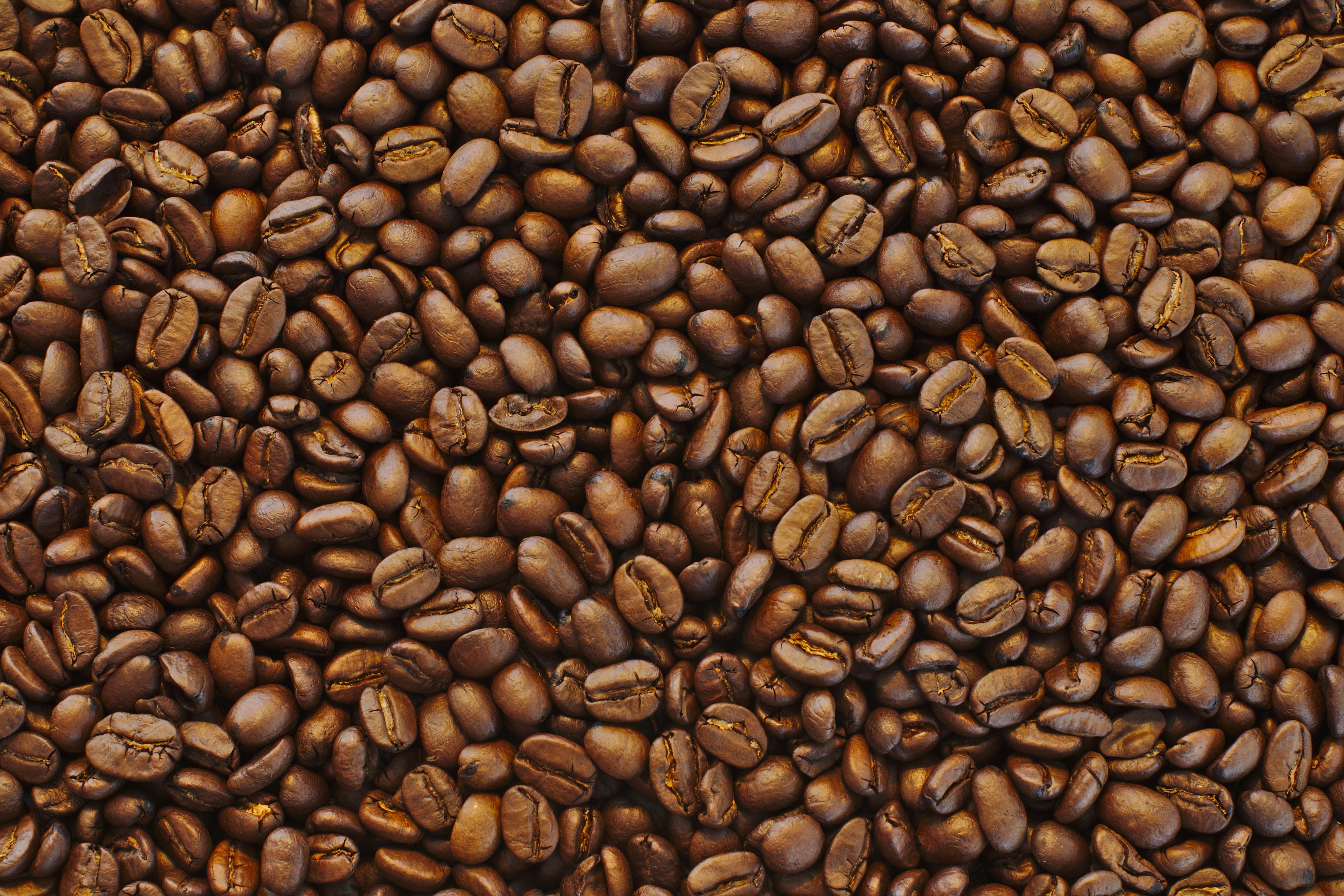 Detail Wallpaper Biji Kopi Nomer 3