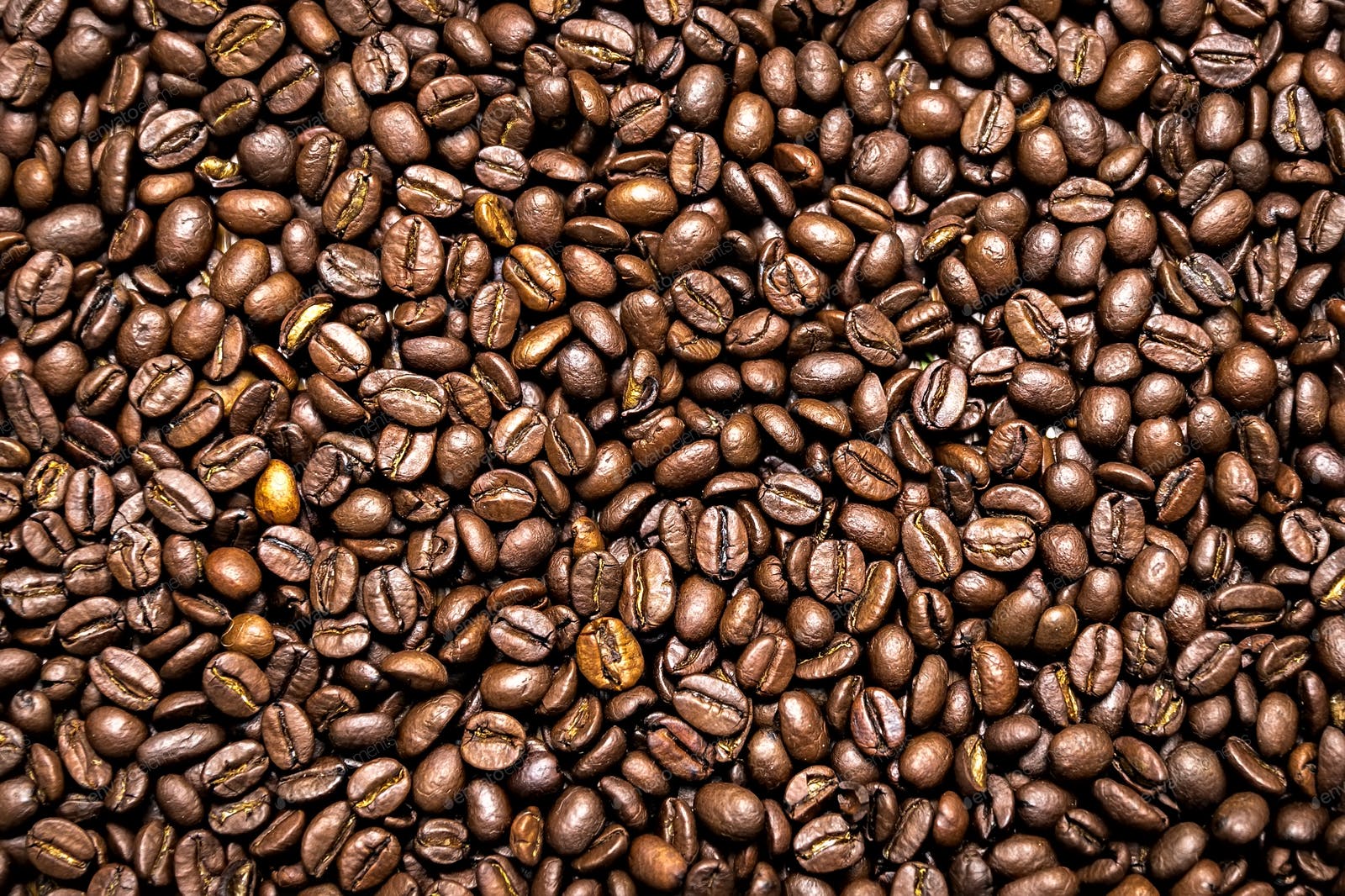Detail Wallpaper Biji Kopi Nomer 27