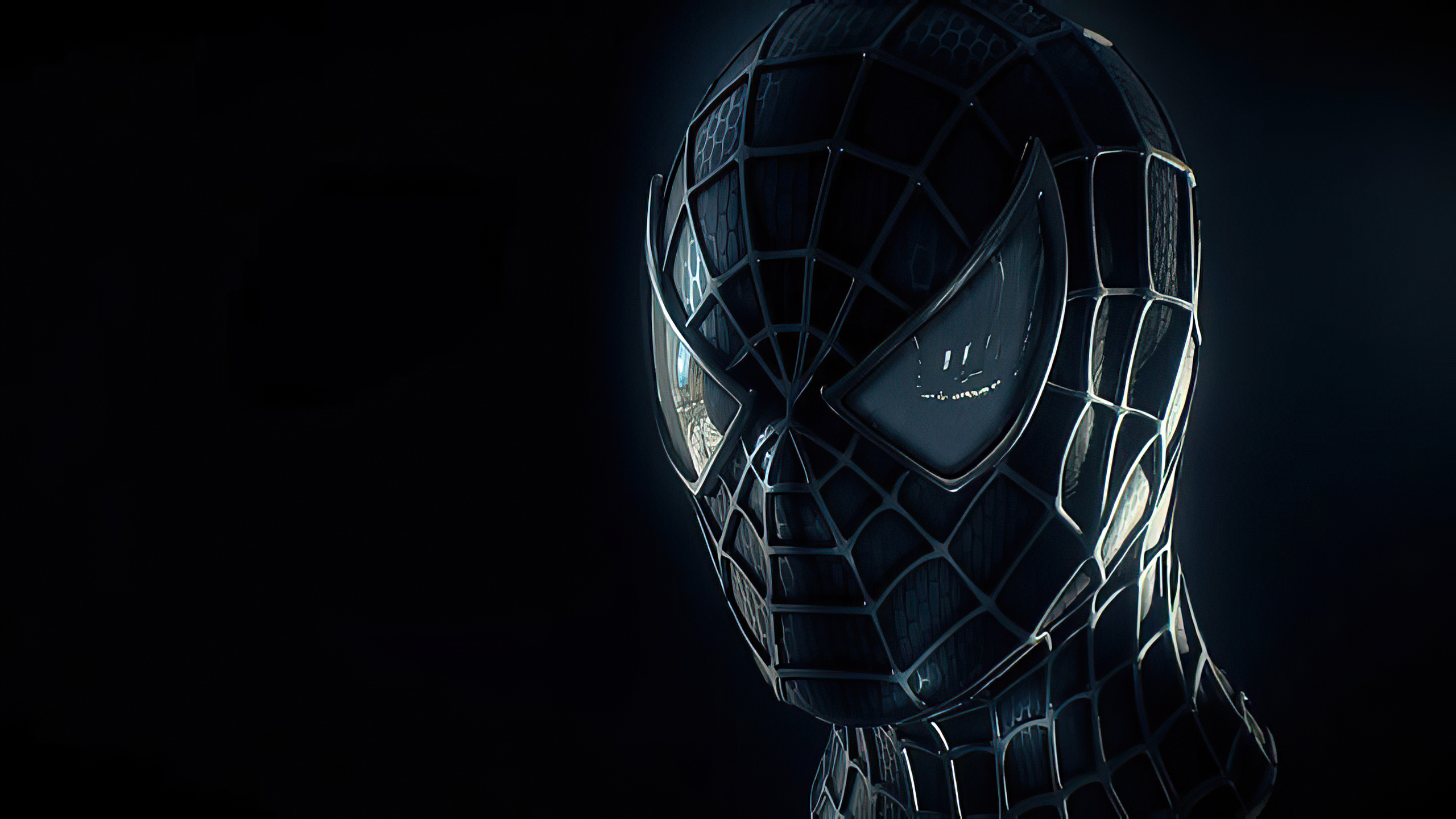 Detail Wallpaper Black Spiderman Nomer 55