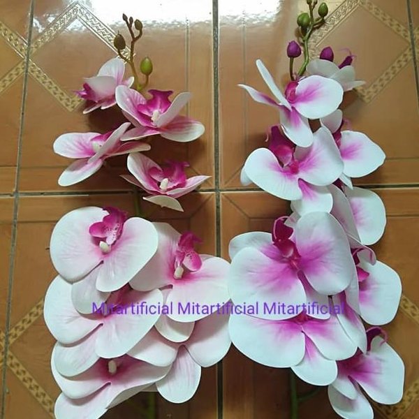 Download Wallpaper Bunga Anggrek Cantik Nomer 31