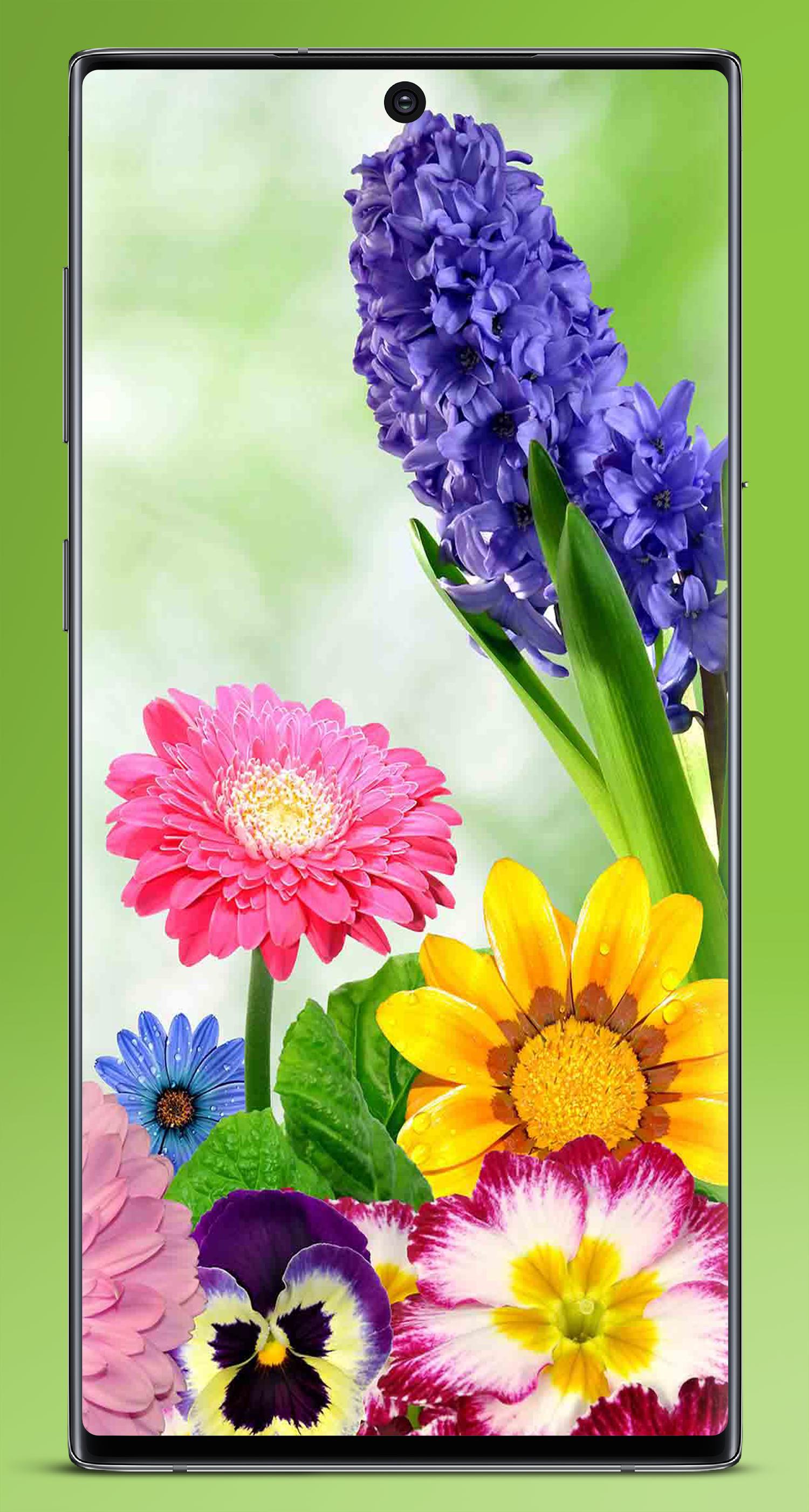 Detail Wallpaper Bunga Cantik Untuk Android Nomer 38