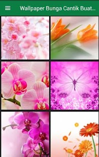 Detail Wallpaper Bunga Cantik Untuk Android Nomer 50
