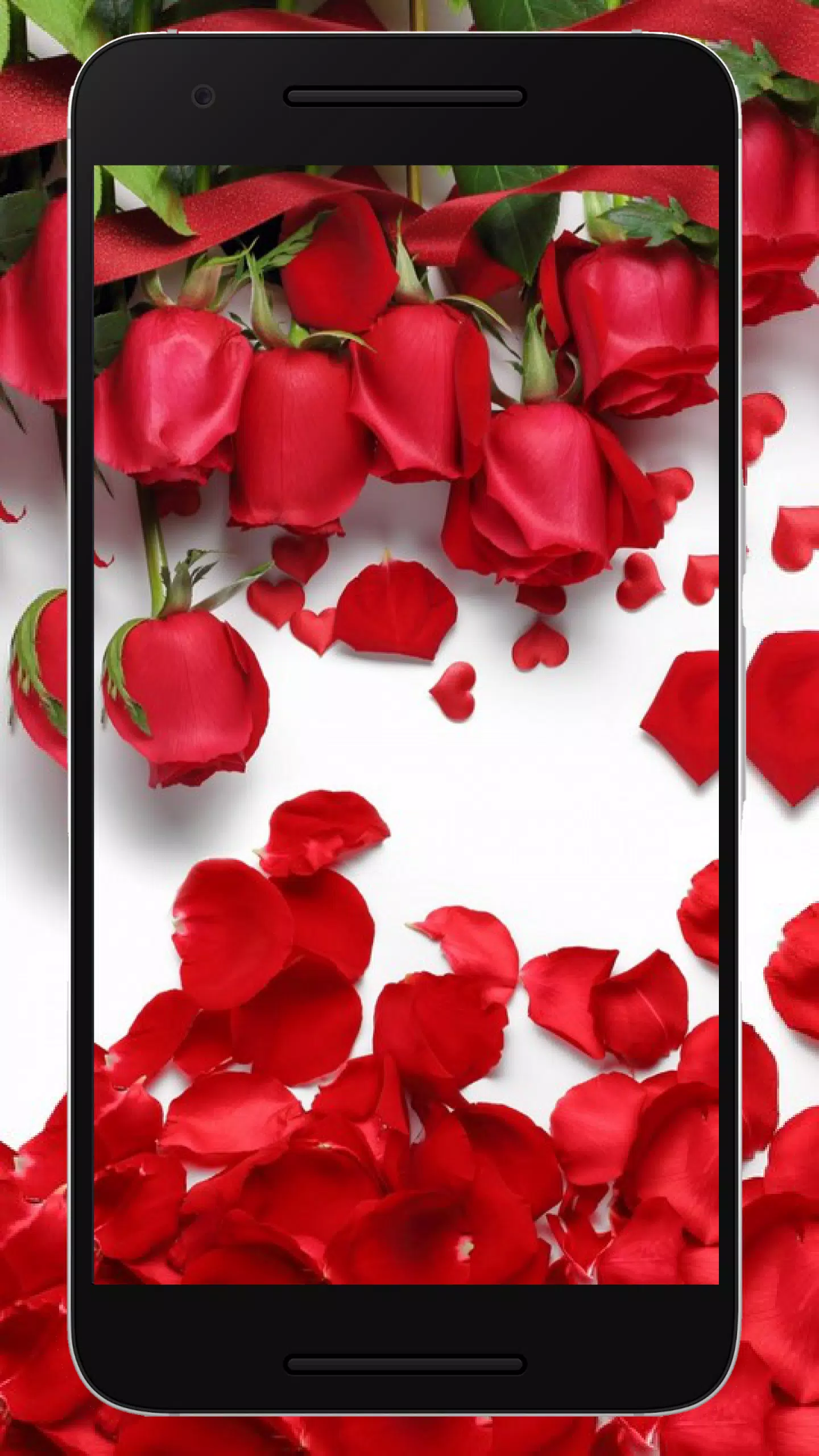 Detail Wallpaper Bunga Keren Nomer 20