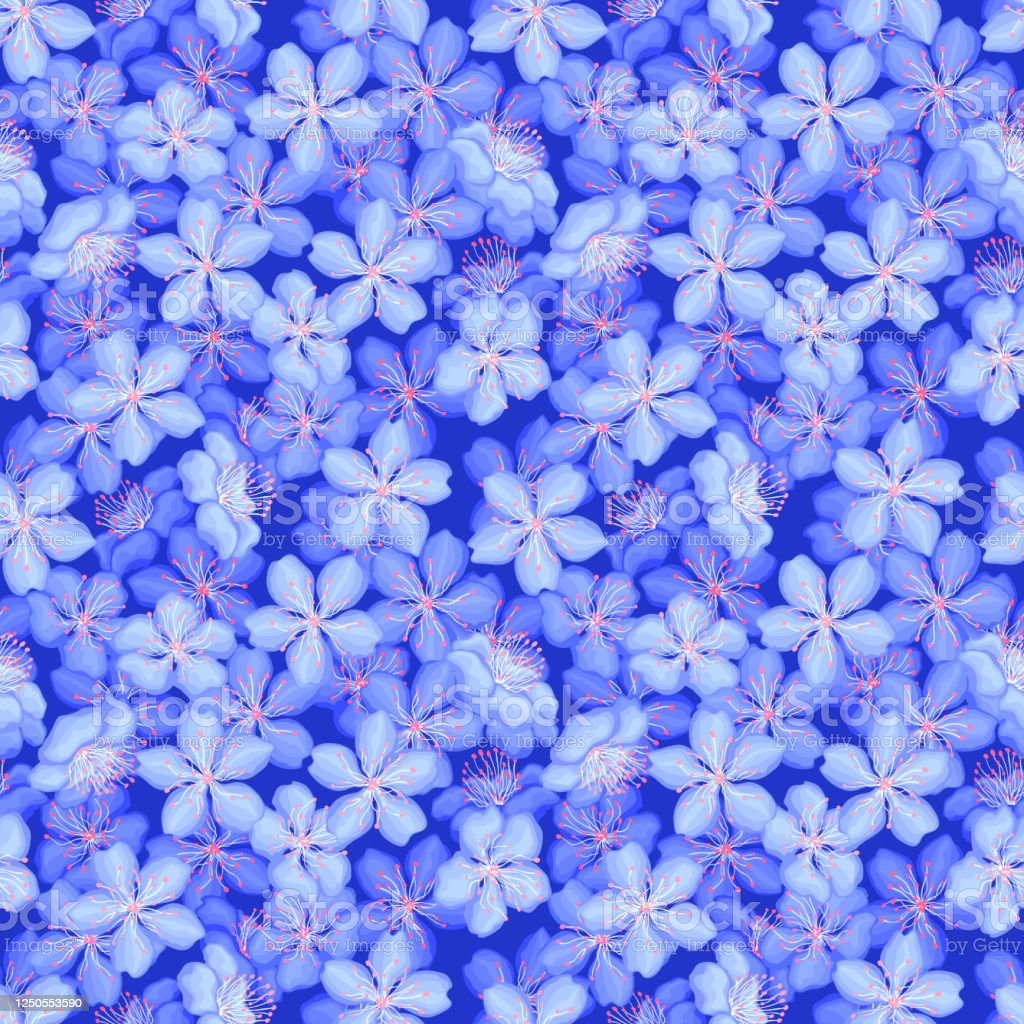 Detail Wallpaper Bunga Sakura Biru Nomer 3