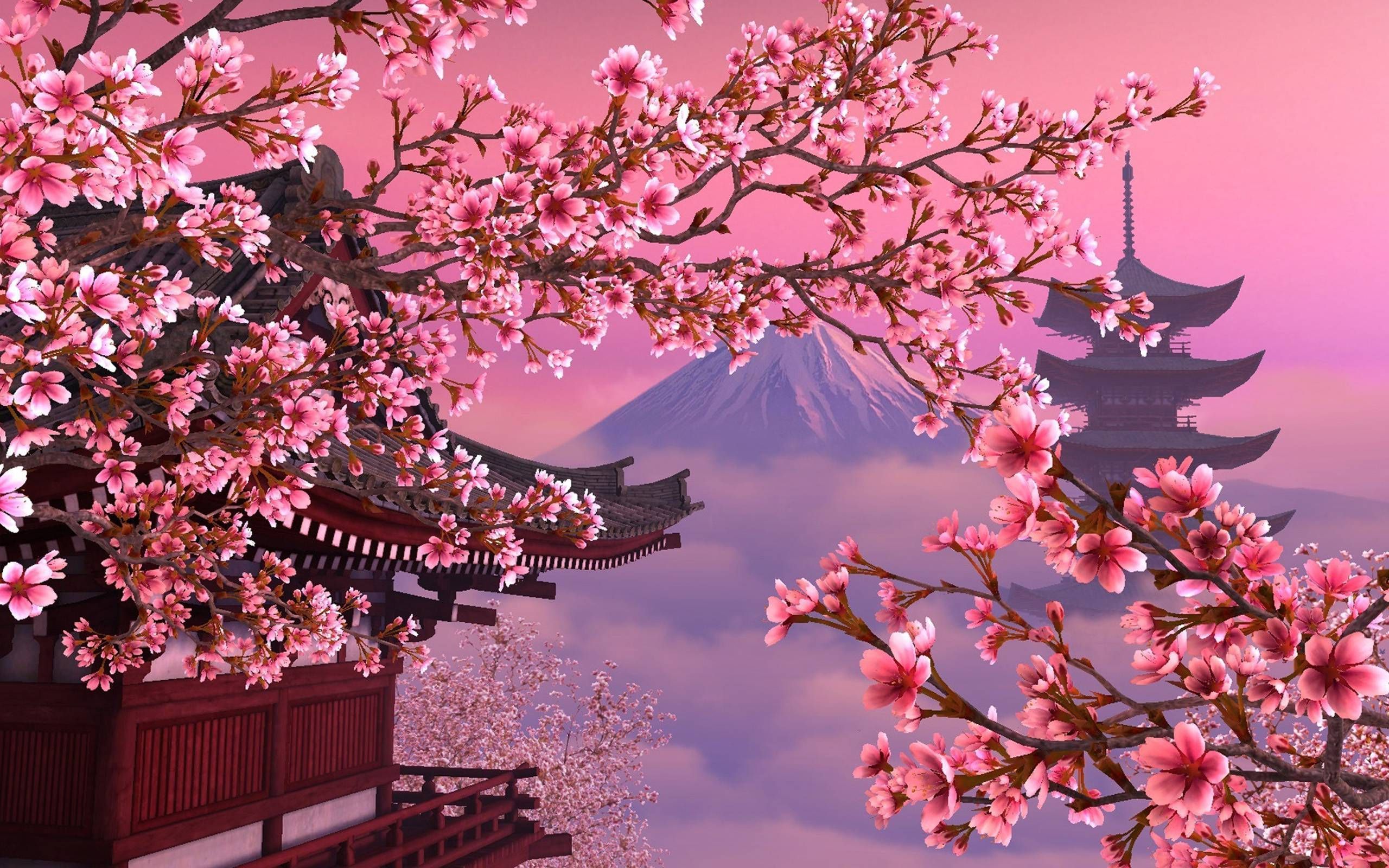 Detail Wallpaper Bunga Sakura Desktop Nomer 19