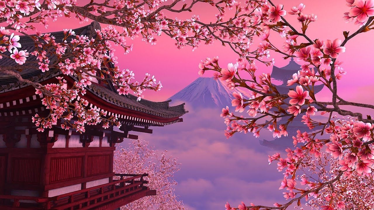 Detail Wallpaper Bunga Sakura Desktop Nomer 4