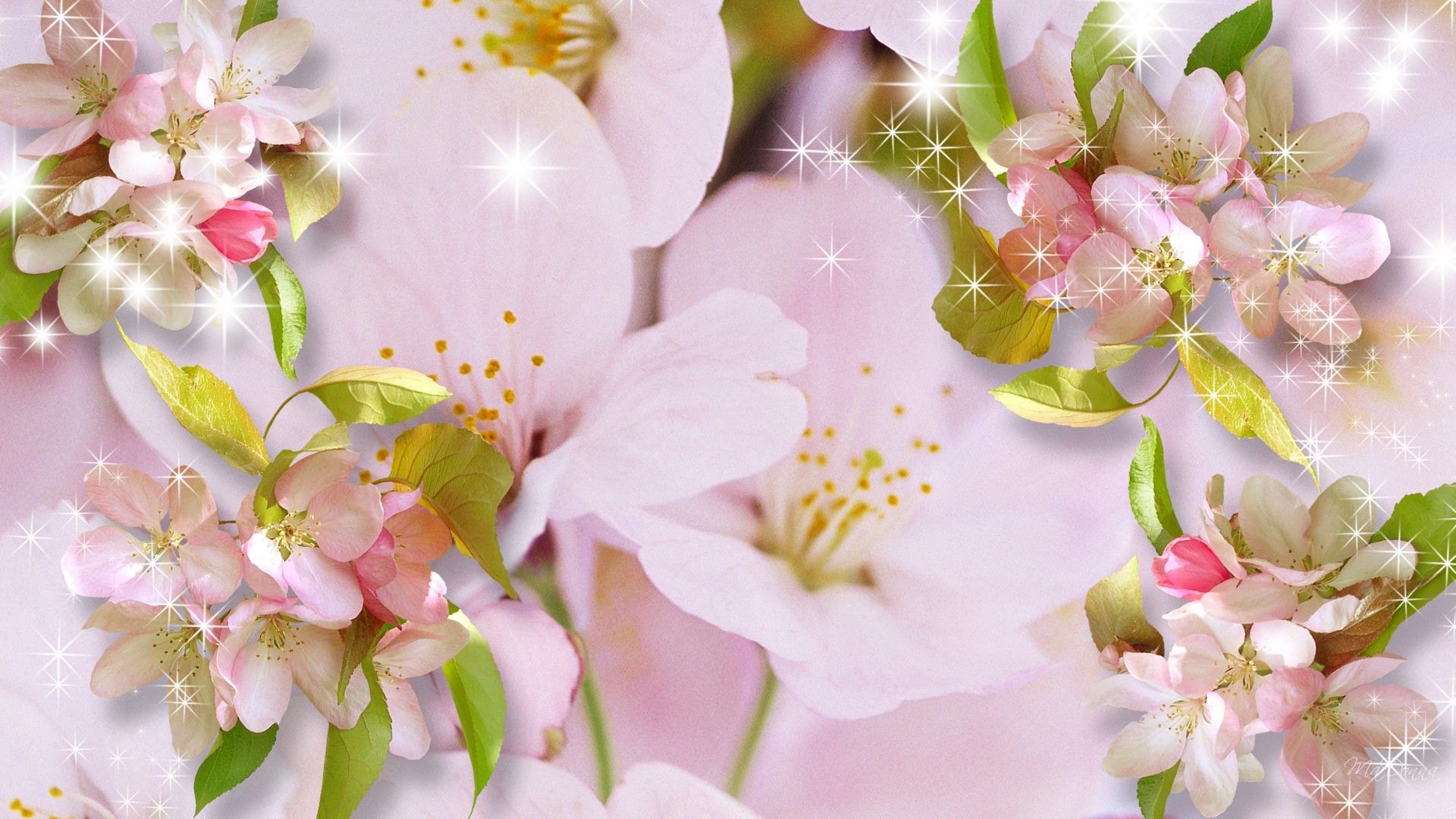 Detail Wallpaper Bunga Sakura Jepang Nomer 50