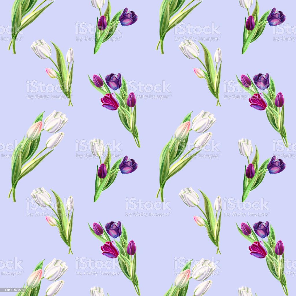 Detail Wallpaper Bunga Tulip Biru Nomer 49