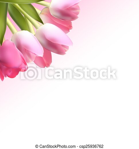 Detail Wallpaper Bunga Tulip Pink Nomer 21