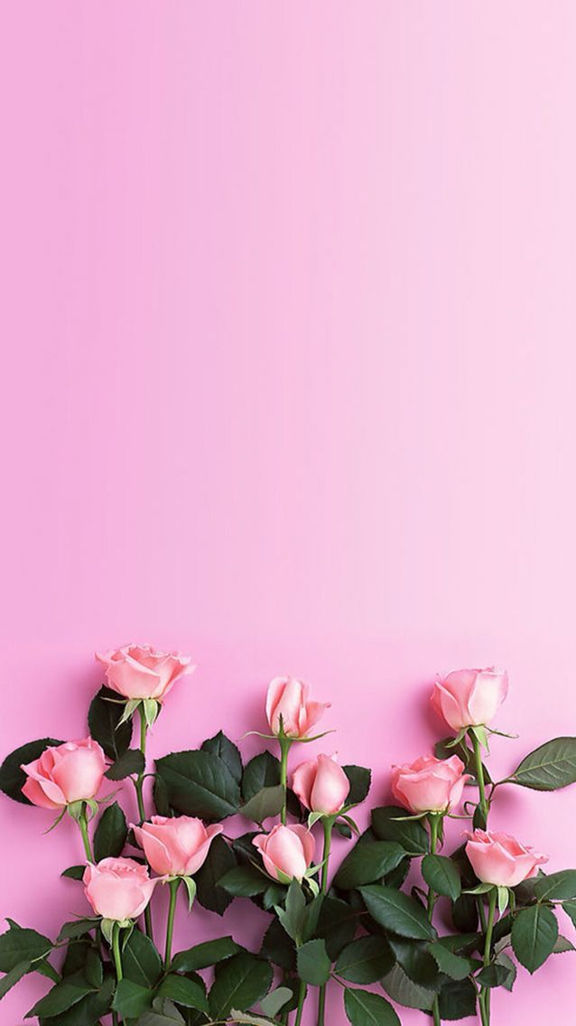 Wallpaper Bunga Warna Pink - KibrisPDR