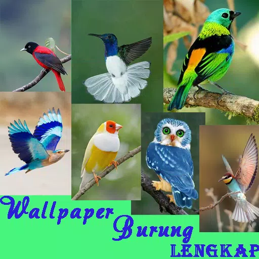 Detail Wallpaper Burung Nomer 16
