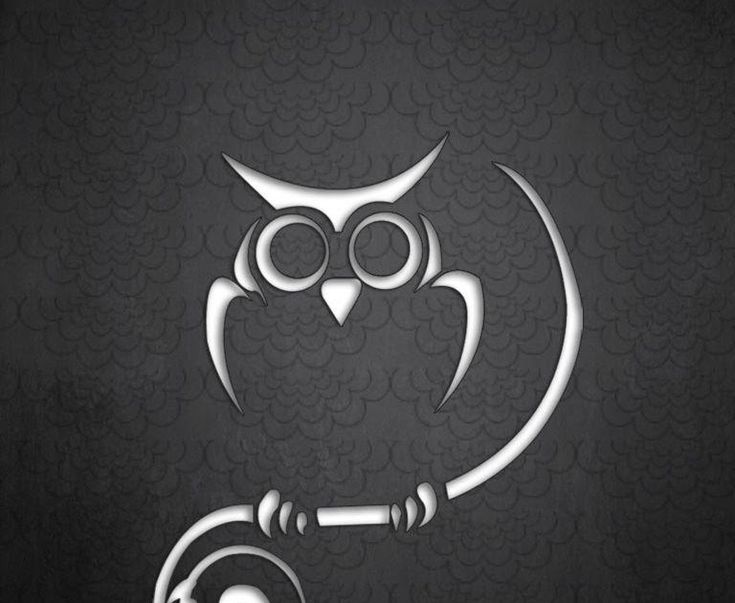 Detail Wallpaper Burung Hantu Hd Nomer 10