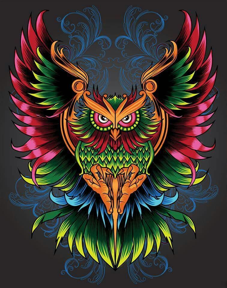 Wallpaper Burung Hantu Keren 56 Koleksi Gambar 