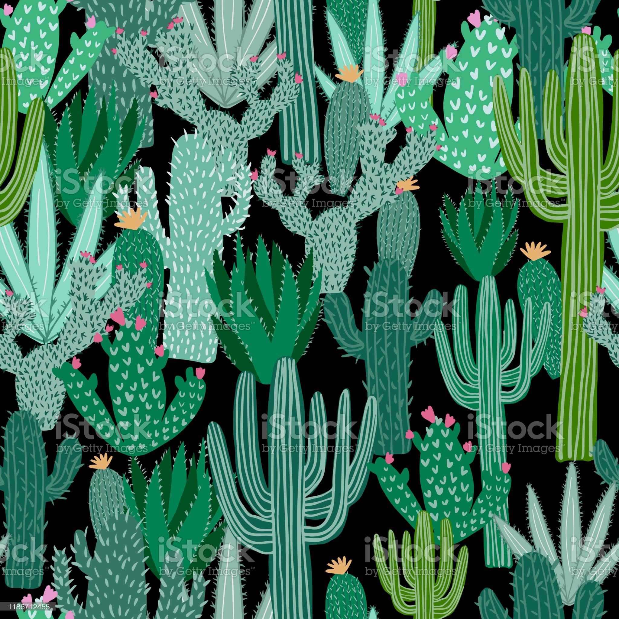 Detail Wallpaper Cactus Background Nomer 19