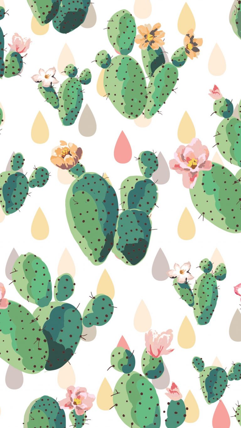 Detail Wallpaper Cactus Background Nomer 30