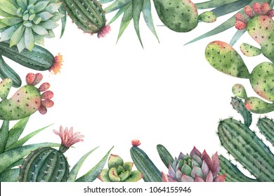 Detail Wallpaper Cactus Background Nomer 37