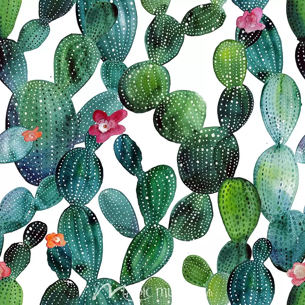 Detail Wallpaper Cactus Background Nomer 55