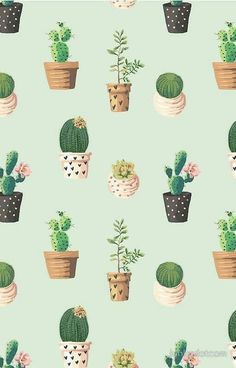 Detail Wallpaper Cactus Background Nomer 58