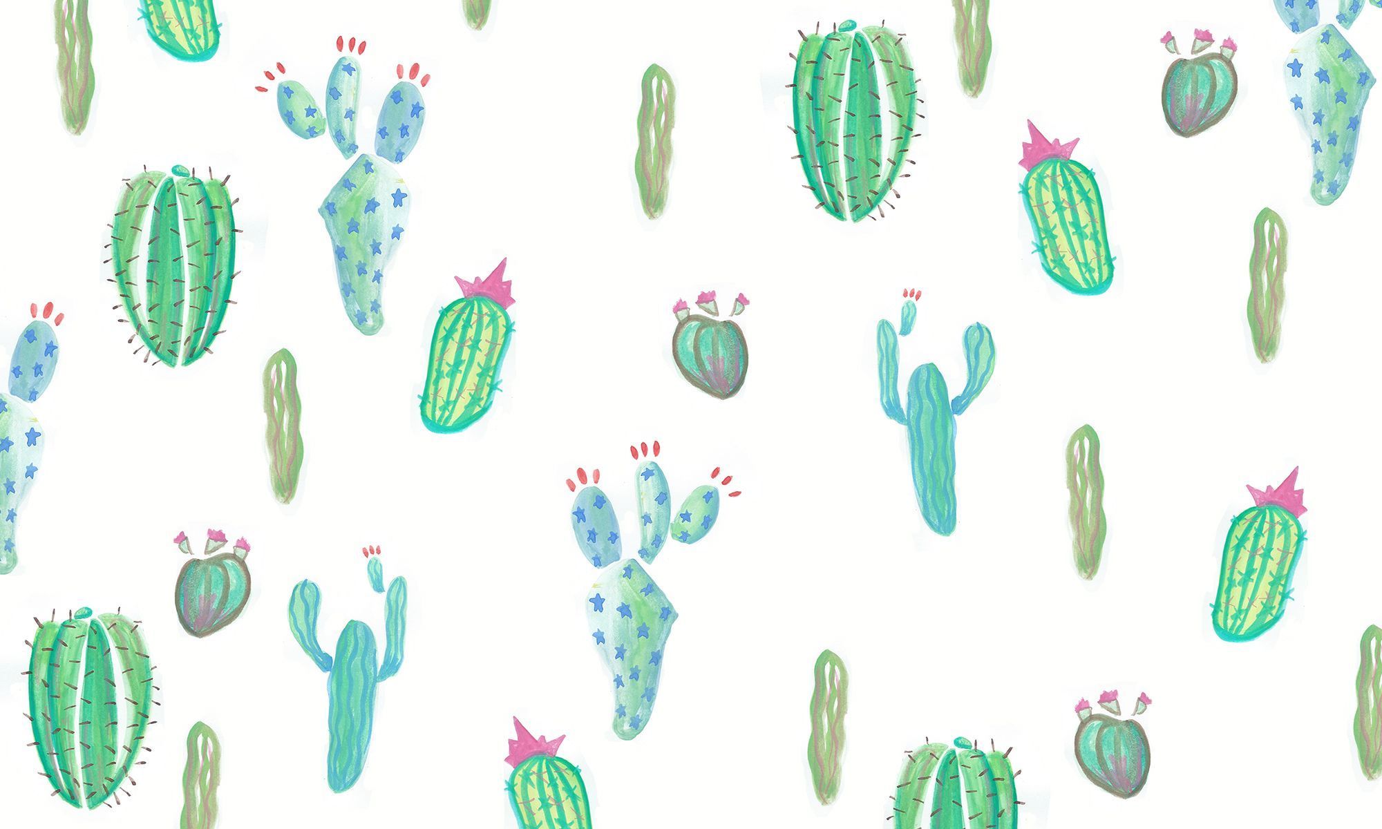 Detail Wallpaper Cactus Background Nomer 7