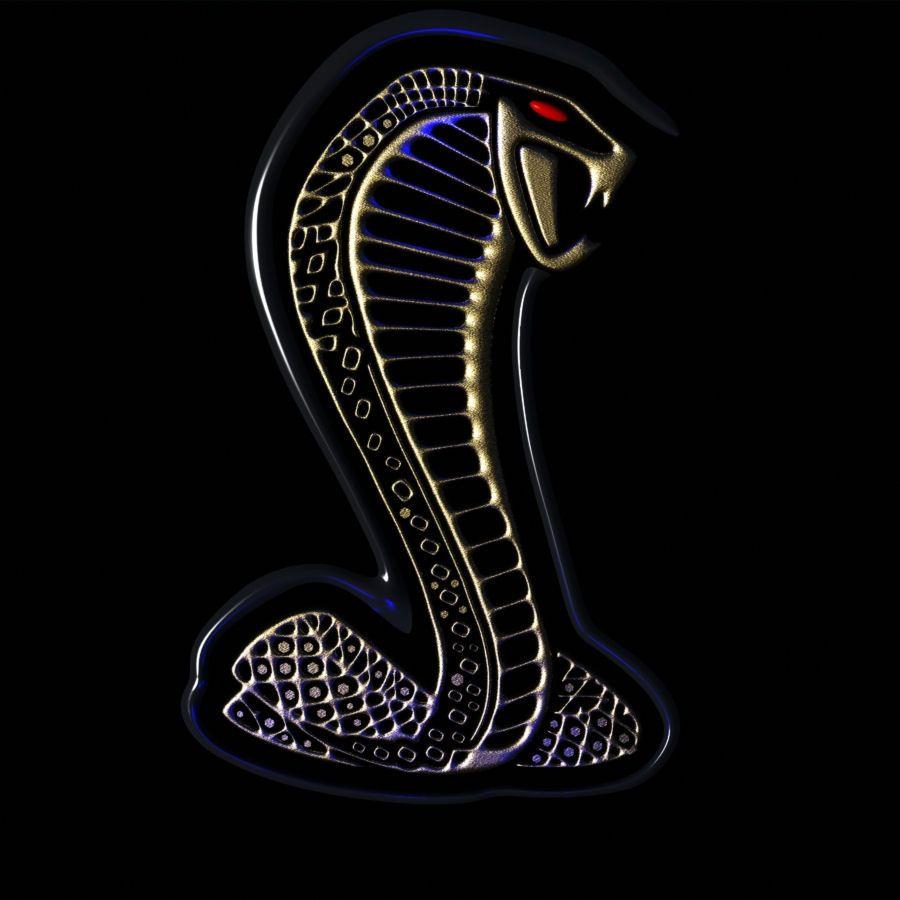 Detail Wallpaper Cobra Nomer 3