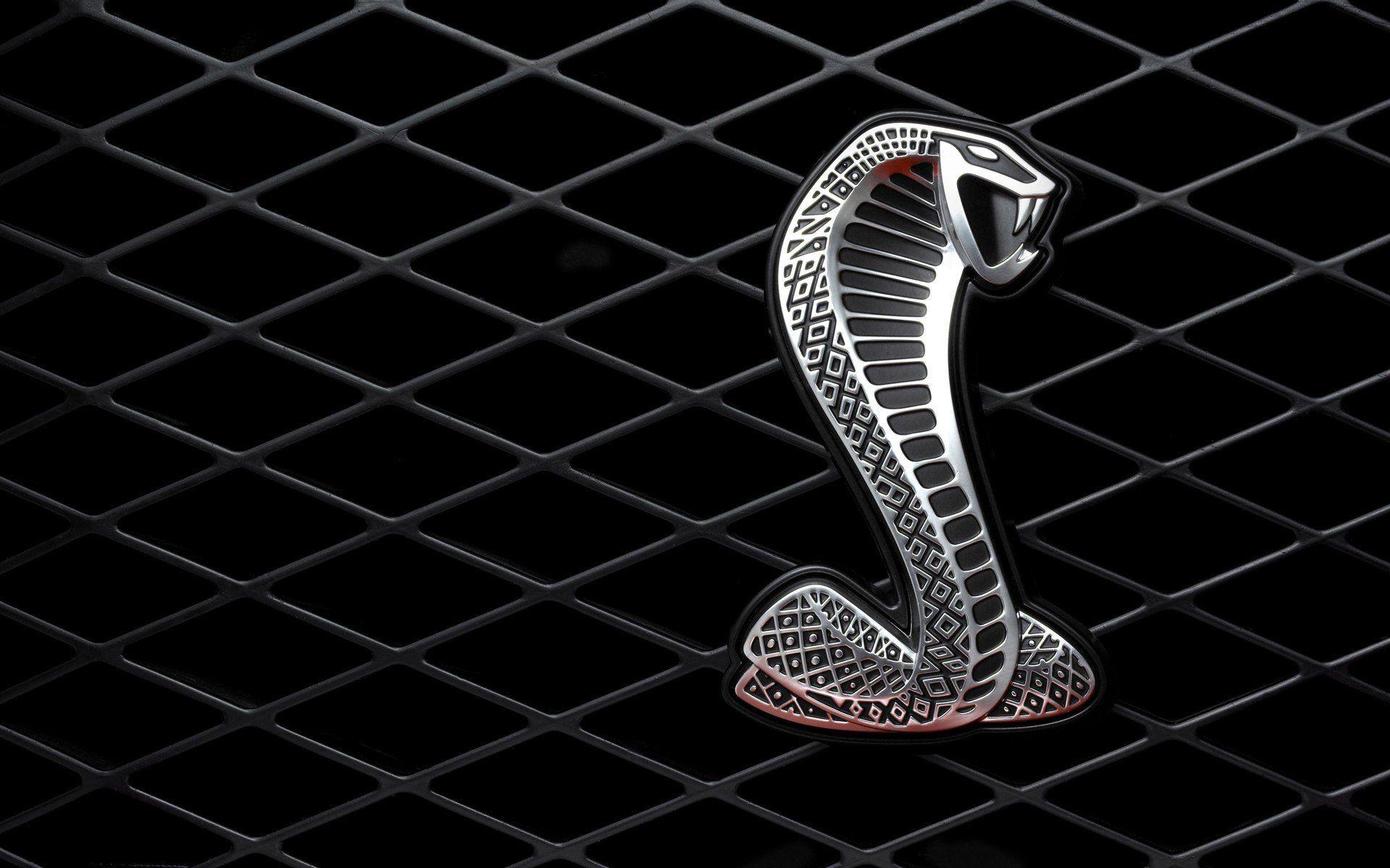 Detail Wallpaper Cobra Nomer 34