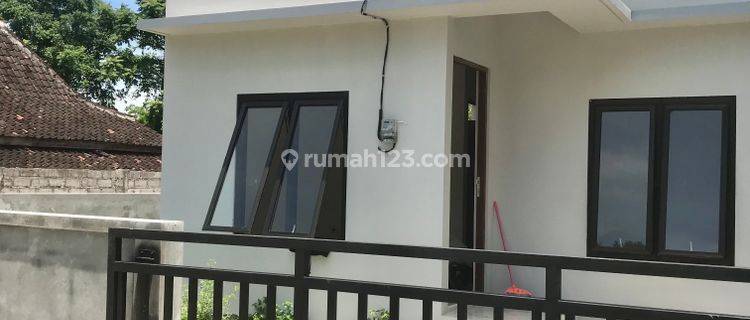 Detail Rumah Murah Di Denpasar Dibawah 500 Juta Nomer 46