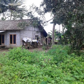 Detail Rumah Murah Jogja Dibawah 100 Juta Nomer 25