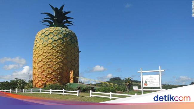 Detail Rumah Nanas Spongebob Nomer 23